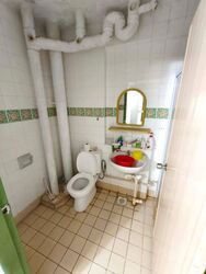 Blk 235 Pasir Ris Street 21 (Pasir Ris), HDB Executive #451939521